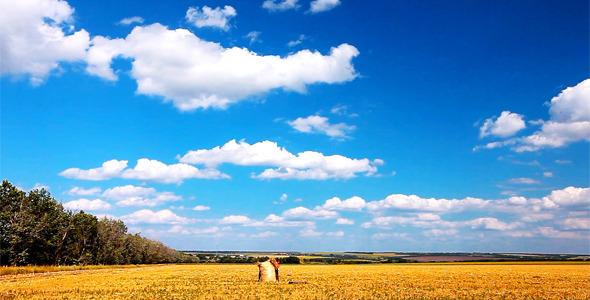Summer Landscape 16 Summer Landscape 16