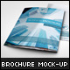 Photorealistic Brochure / Magazine Mock-up - 64