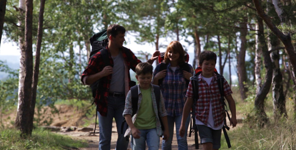 Forest Walkers Forest Walkers