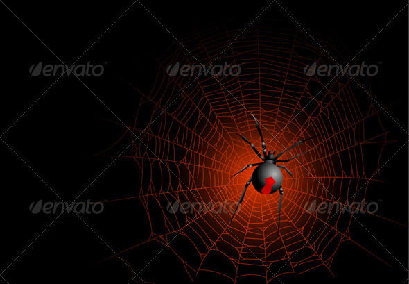 Spider web Spider web