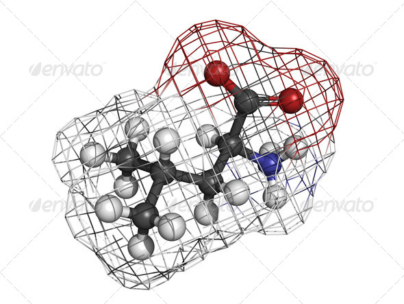 Leucine (Leu, L) amino acid, molecular model.