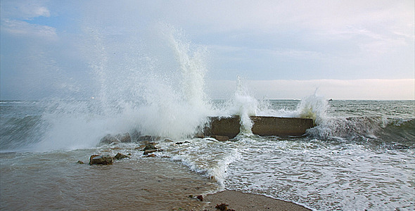 Waves Waves