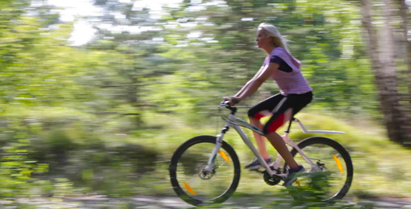 Speedy Ride Speedy Ride