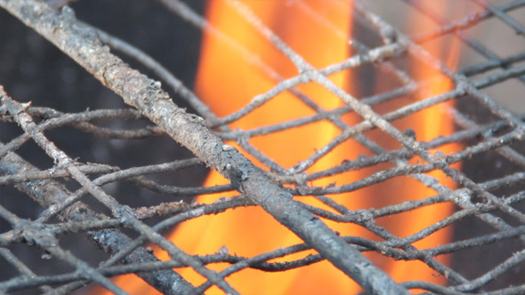 Barbecue Grill Barbecue Grill