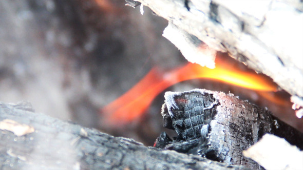 Flame of Fire 7 Flame of Fire 7