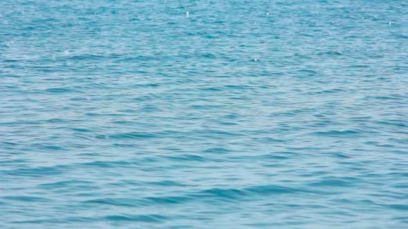 Water Surface 4 Water Surface 4