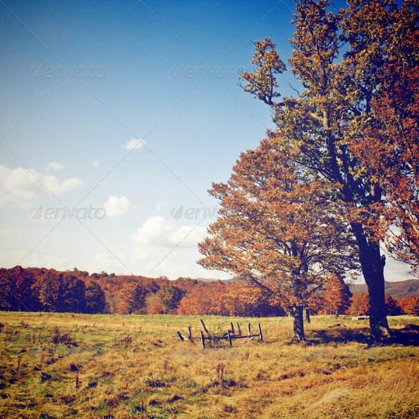 Welcome to autumn season with retro filter effect