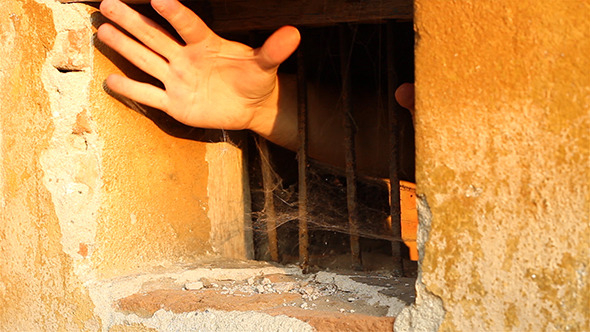 Begging Hand Through Bars Begging Hand Through Bars