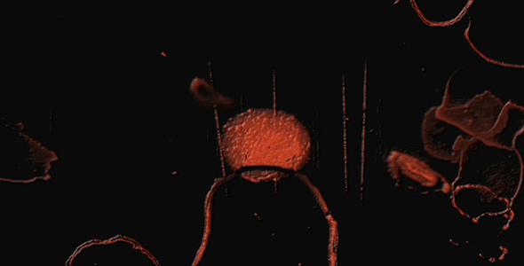 Bloody Film Noise Bloody Film Noise