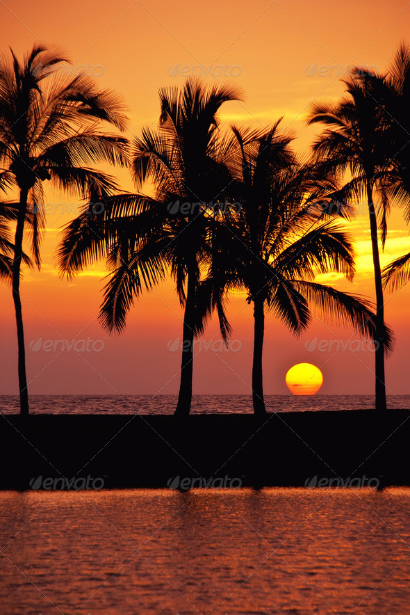 Hawaiian Sunset on Big Island