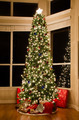 Photo of christmas tree presents | Free christmas images