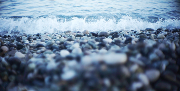 Seashore 3 Seashore 3