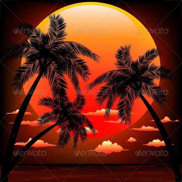 Warm Topical Sunset with Palm Trees - Travel Conceptual