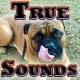 TrueSounds