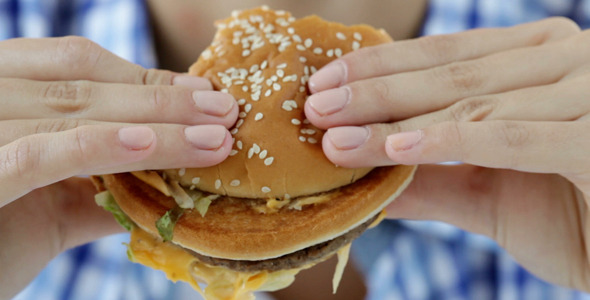 Hamburger Eater Hamburger Eater