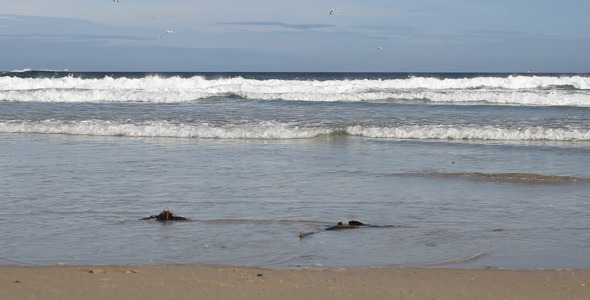 Sandy Beach 03 Sandy Beach 03