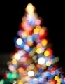 Photo of Christmas tree with christmas lights | Free christmas images