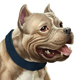 bullymaxinc