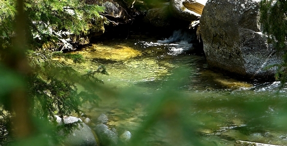 Mountain River 10 Mountain River 10