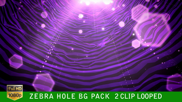 Zebra Hole Background Zebra Hole Background