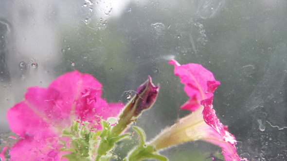 Rain 1 Rain 1
