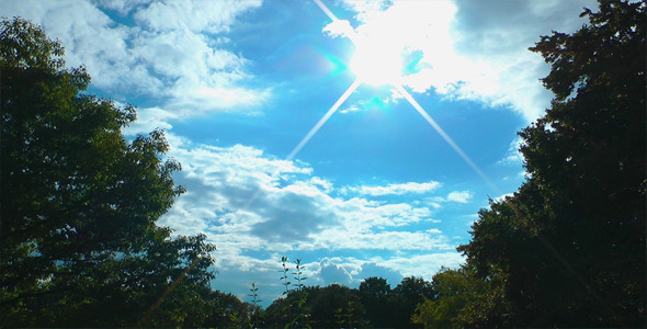 Clouds and Trees Time Lapse Clouds and Trees Time Lapse
