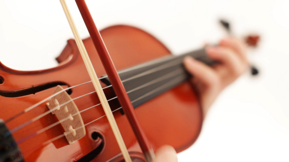 Play The Violin Play The Violin