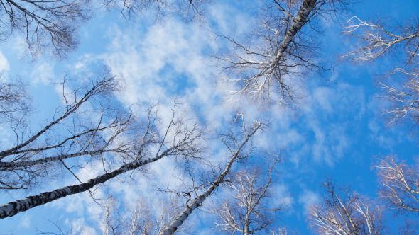 Cloud Cloud
