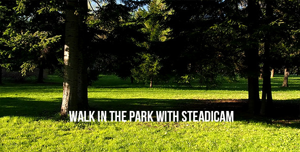Walk In The Park With Steadicam Walk In The Park With Steadicam