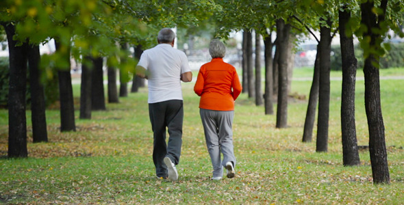 Runners in the Park Runners in the Park