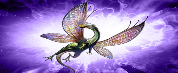 DragonflyGraphics