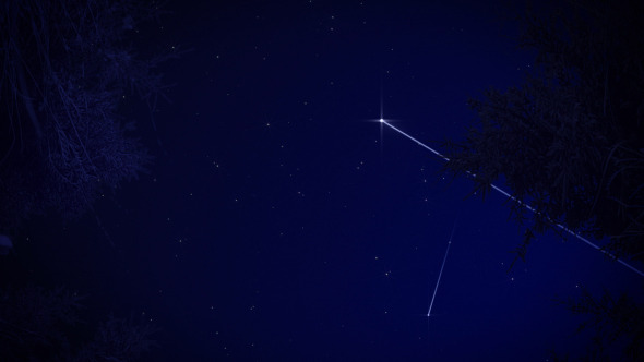 Starry Sky In The Forest