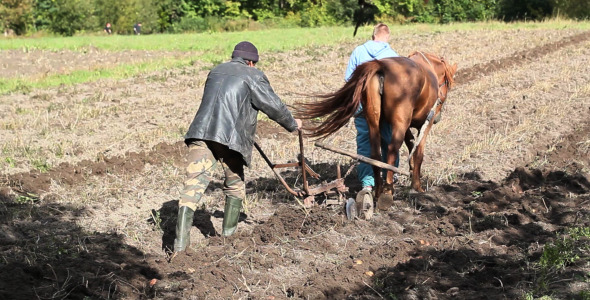 Plowing The Land Plowing The Land