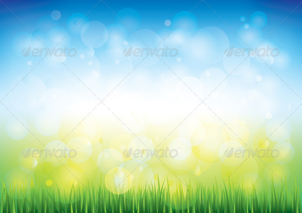 Blue Sky and Grass Background Blue Sky and Grass Background