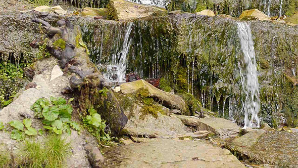 Small Waterfall In Autumnal Forest 3 Small Waterfall In Autumnal Forest 3
