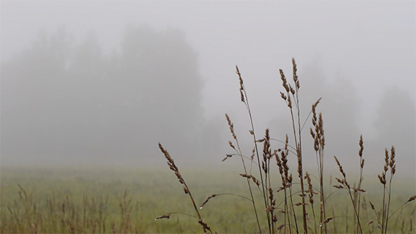 Misty Autumn Morning Misty Autumn Morning