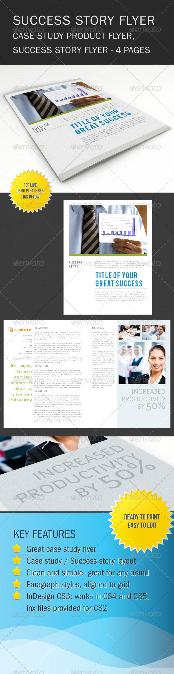 Success Story Brochure / Flyer - Corporate Flyers