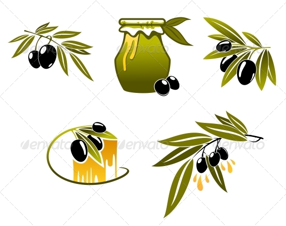 Olive Oil and Branchs Olive Oil and Branchs