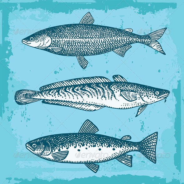 Set of Fishes Vector Set of Fishes Vector