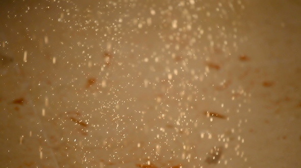 Sawdust Falling Sawdust Falling