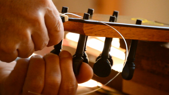 Luthier Placing a String Luthier Placing a String
