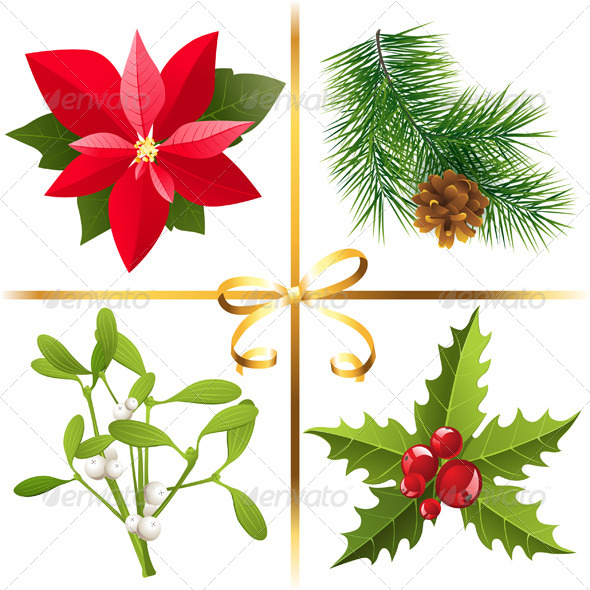 Christmas Plants Christmas Plants