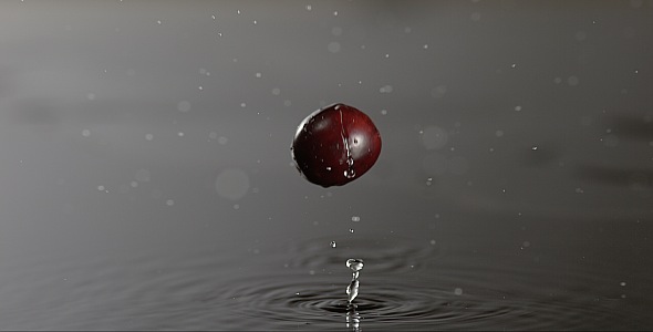 VideoHive Cranberry is Falling on a Wet Surface 9846992 VideoHive Cranberry is Falling on a Wet Surface 9846992