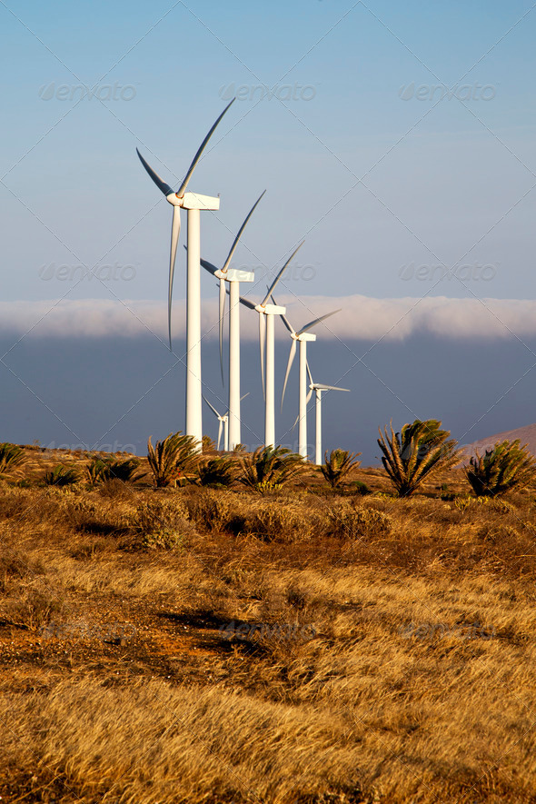 africa wind turbines and the sky in the isle