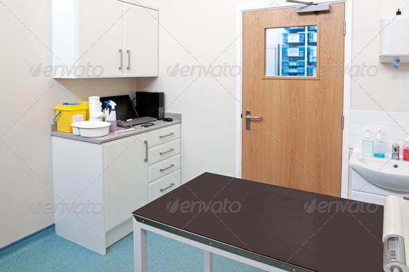 Vet examination room