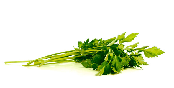 Rotating Parsley Rotating Parsley