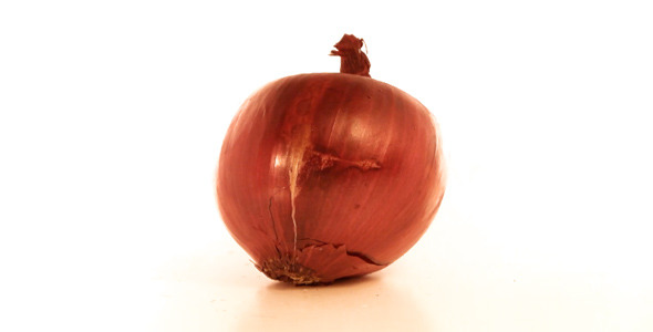 onion torrent