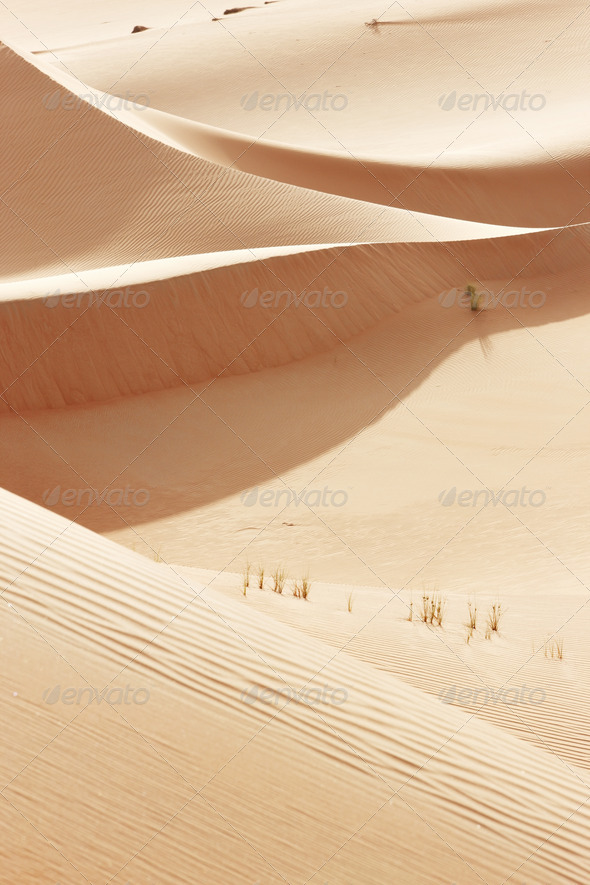 Rolling sand dunes of the Arabian desert