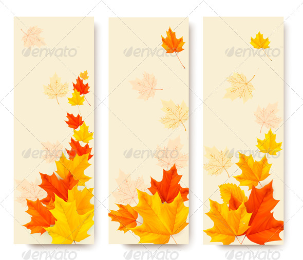 Three Autumn Banners with Colorful Leaves Three Autumn Banners with Colorful Leaves