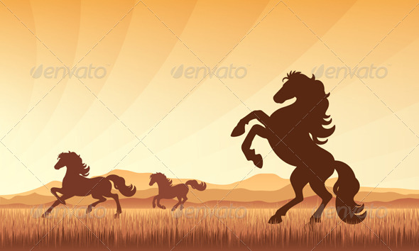 Horses on Field with Sunset Background Horses on Field with Sunset Background